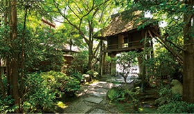 姫路・加古川 発
№1865 「山ばな平八茶屋」と青もみじの京都大原三千院3